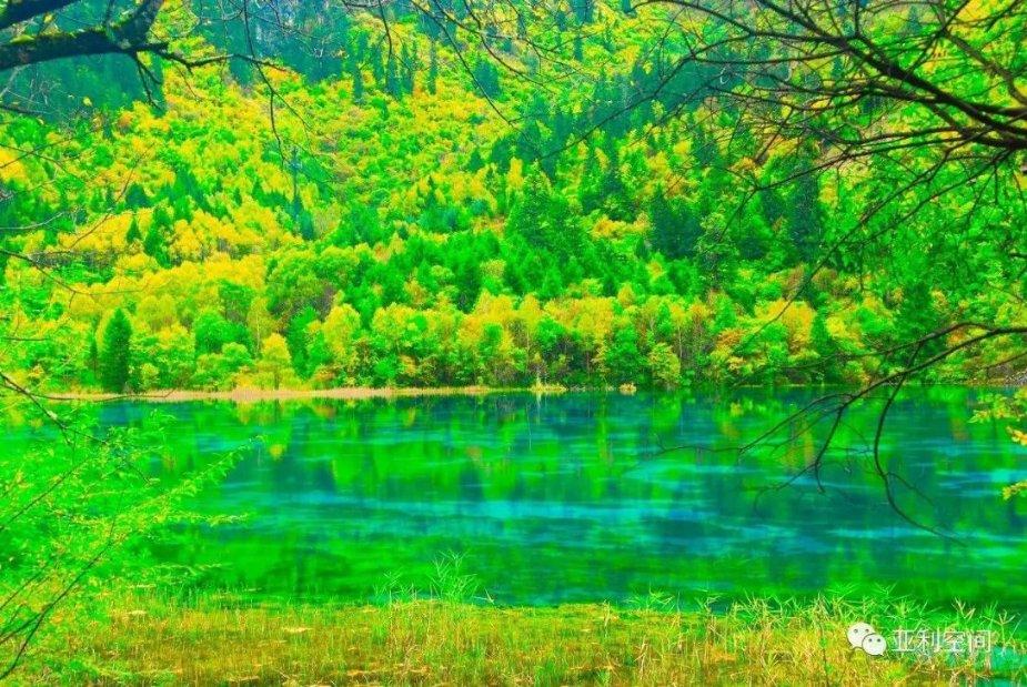 苹果在美国市场开启预购,海外用户将面临诸多限制